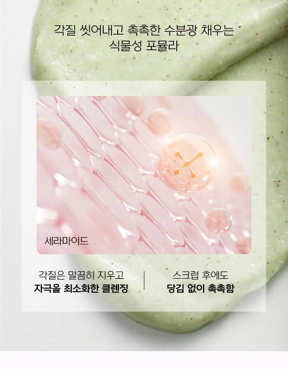 [국가대표PICK/인그로운헤어] 디어도어 비건 저자극 바디스크럽 300ml 3종 택1 상세페이지 33